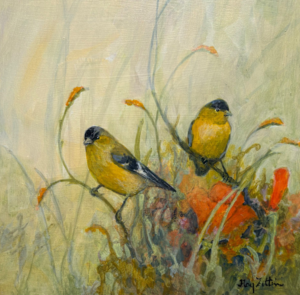 Lesser Goldfinch I by Floy Zittin, Image 1.