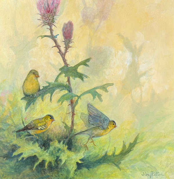 Lesser Goldfinch and Thistles by Floy Zittin