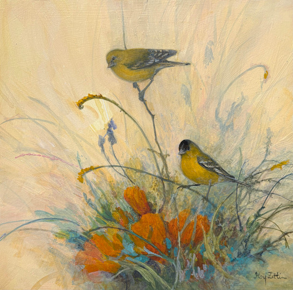 Lesser Goldfinch and Wildflowers by Floy Zittin, Image 1.