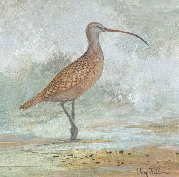 Long-billed Curlew by Floy Zittin