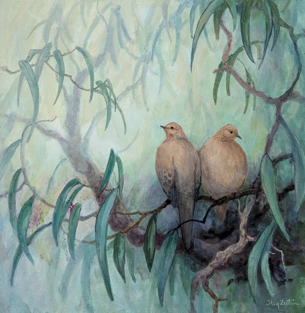 Mourning Doves in Eucalyptus by Floy Zittin