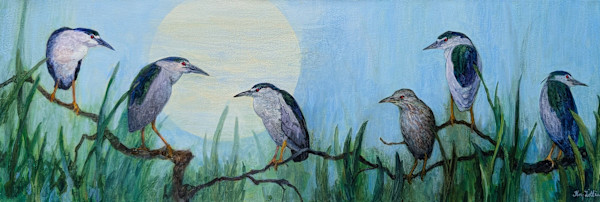 Night Herons and Moon by Floy Zittin