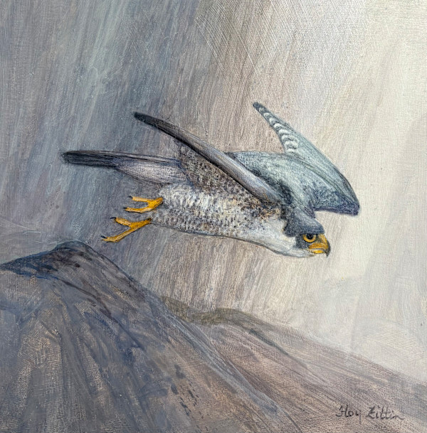 Peregrine by Floy Zittin