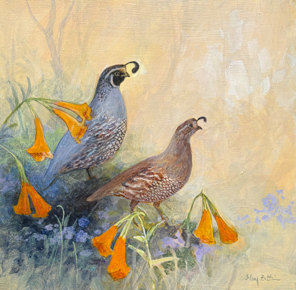 Quail and Sticky Monkey-flower by Floy Zittin
