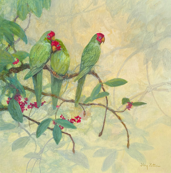 Red-masked Parakeets by Floy Zittin, Image 1.