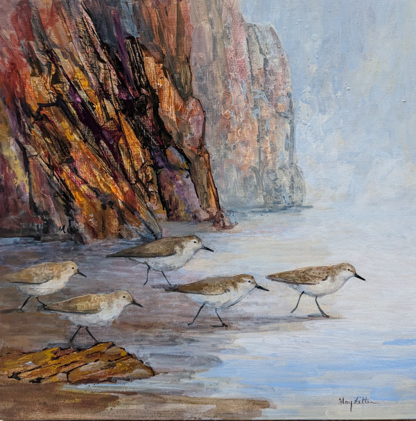 Sanderlings and Rocks by Floy Zittin