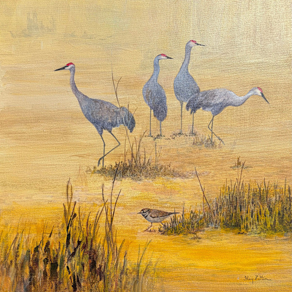 Sandhill Cranes and Killdeer by Floy Zittin, Image 1.