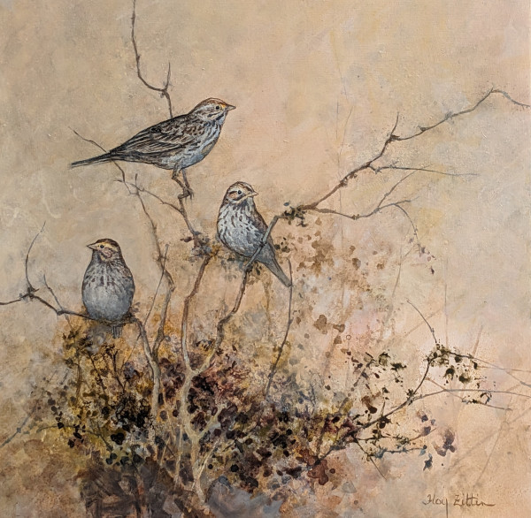 Savannah Sparrows by Floy Zittin