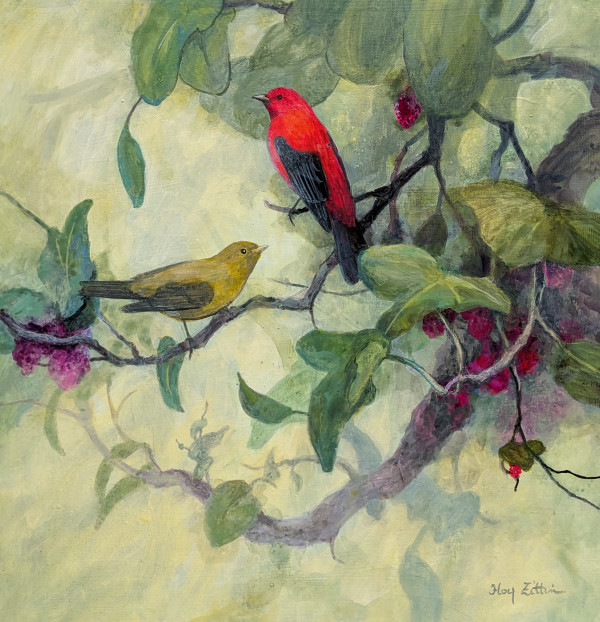 Scarlet Tanagers by Floy Zittin