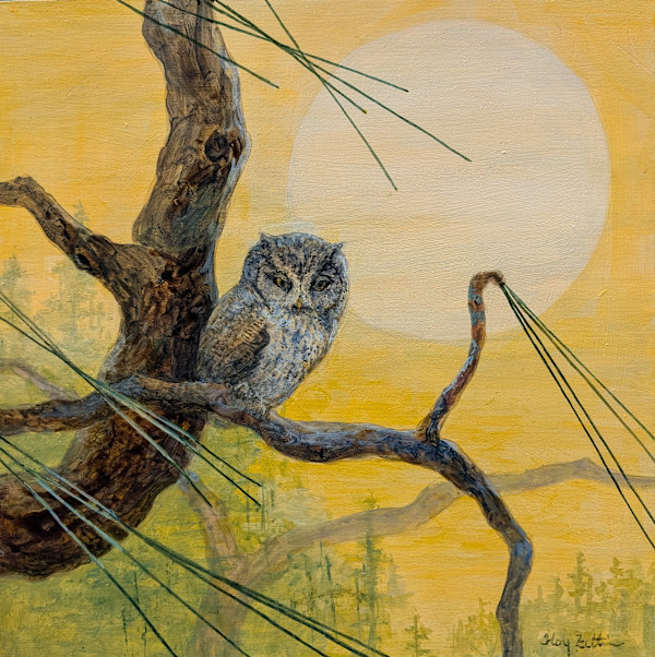 Screech Owl and Pines by Floy Zittin