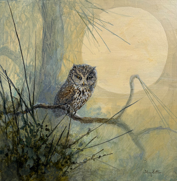 Screech Owl and Pines by Floy Zittin, Image 1.