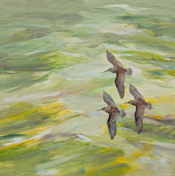 Shorebirds and Waves by Floy Zittin