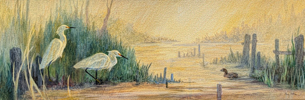 Snowy Egrets and Pilings by Floy Zittin