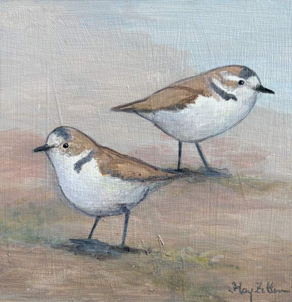Snowy Plover Pair by Floy Zittin, Image 1.