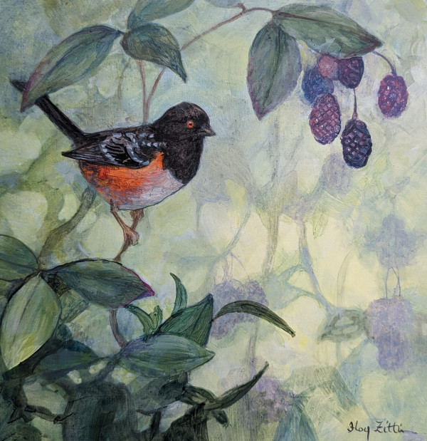 Towhee and Berries by Floy Zittin