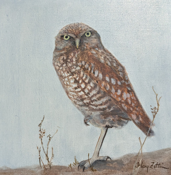 Tiny Burrowing Owl by Floy Zittin