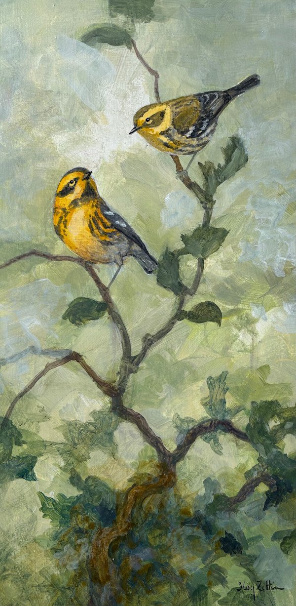 Townsend's Warblers by Floy Zittin, Image 1.