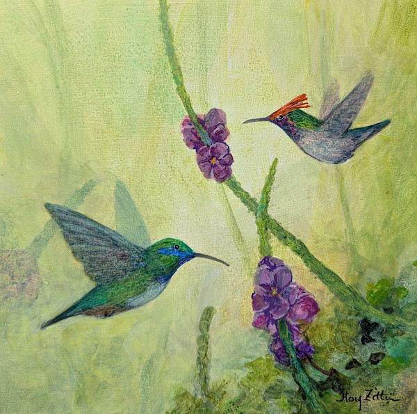 Violetear and Coquette by Floy Zittin