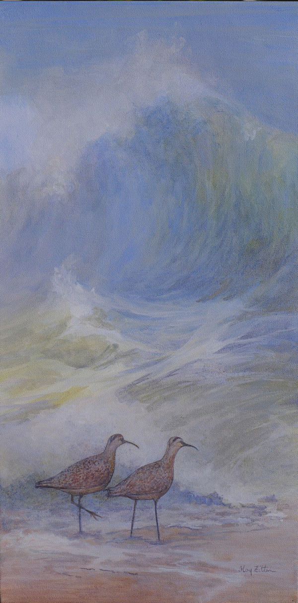 Whimbrel Pair by Floy Zittin, Image 1.
