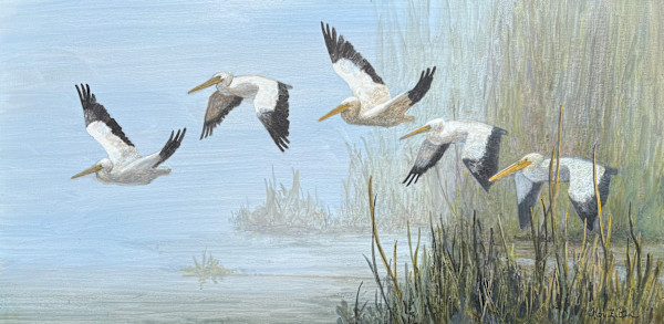 White Pelicans by Floy Zittin, Image 1.