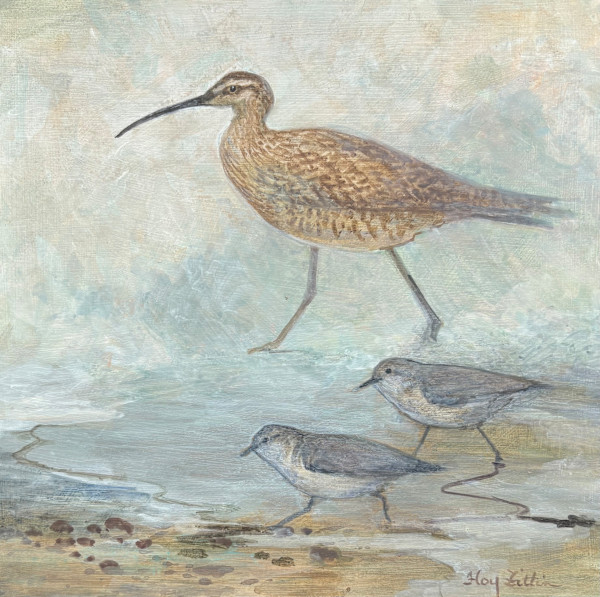 Willet and Sanderlings by Floy Zittin, Image 1.