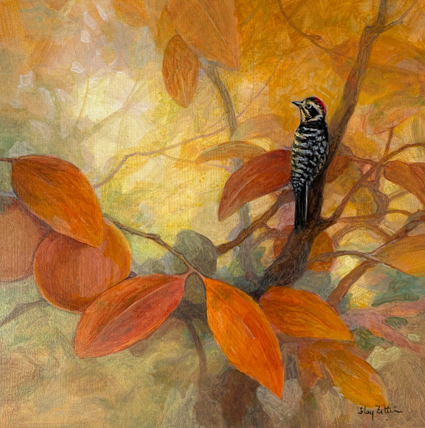 Woodpecker and Persimmons by Floy Zittin