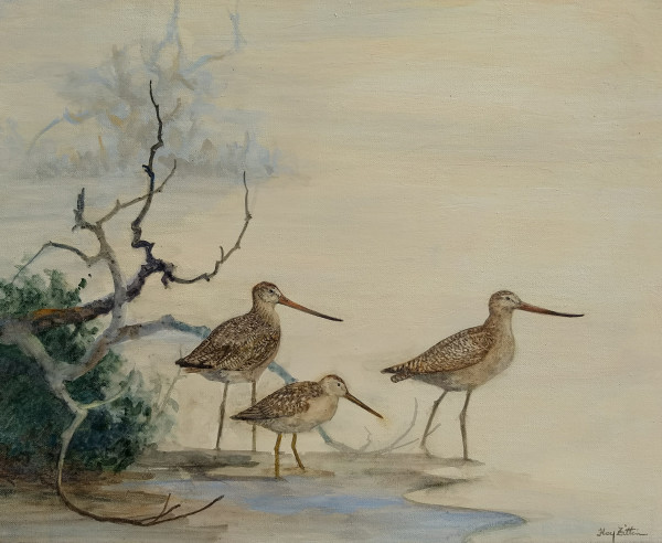 Dowitcher and Godwits by Floy Zittin