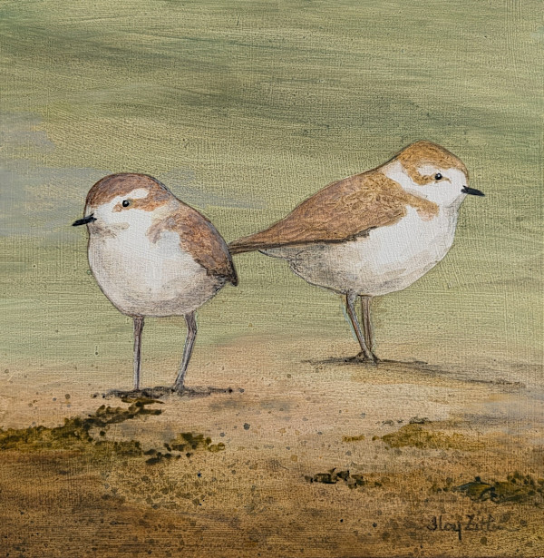 Snowy Plovers by Floy Zittin