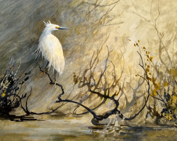 Snowy Egret by Floy Zittin