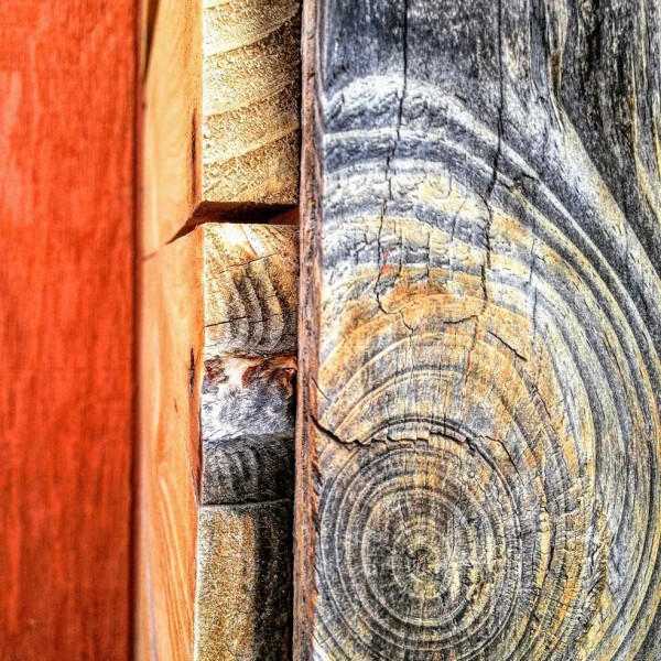 Colored Wood by Anat Ambar