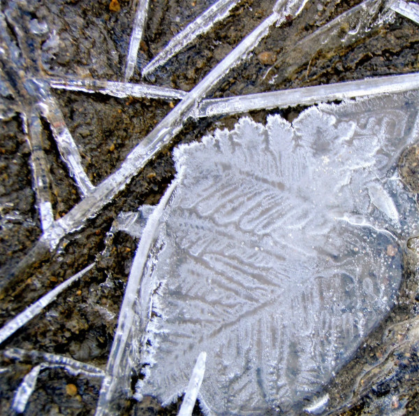 Ice Fragments by Anat Ambar