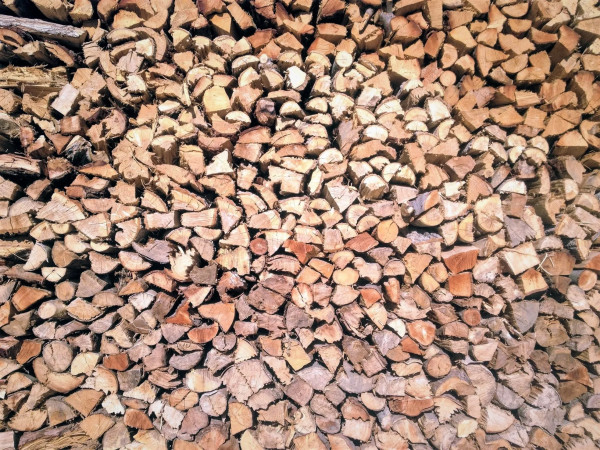 Wood by Anat Ambar