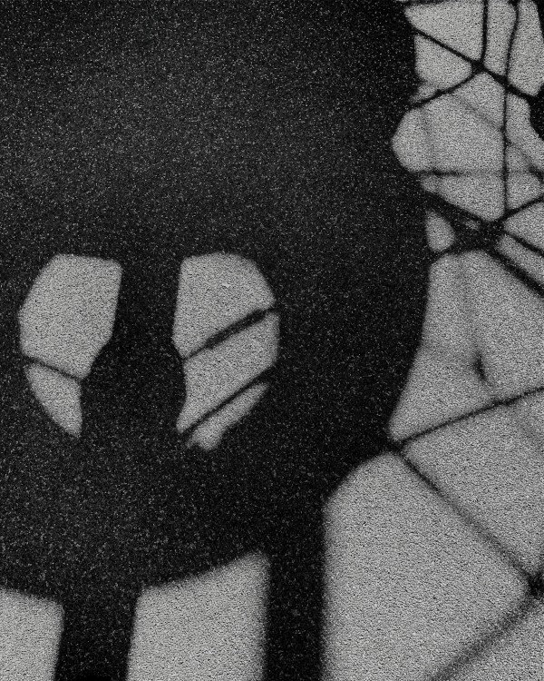 Light and Shadow by Anat Ambar