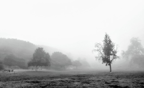 Foggy Day by Anat Ambar