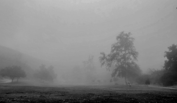 Morning Fog by Anat Ambar