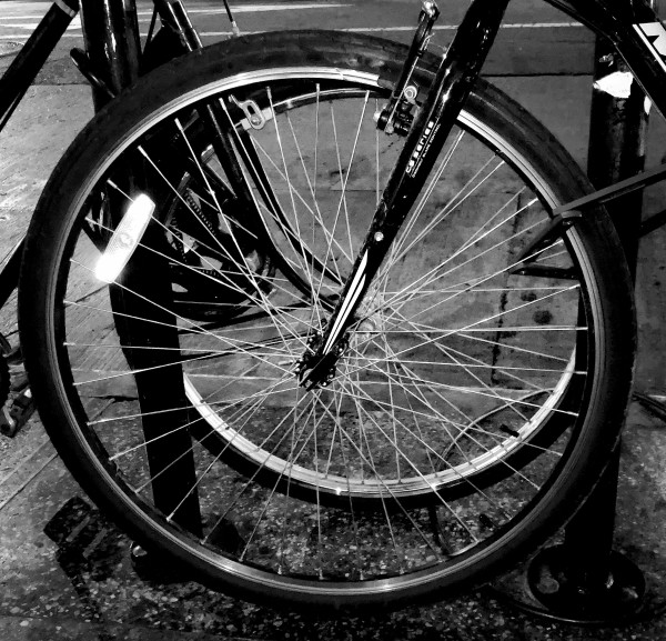 Bicycle Wheels by Anat Ambar