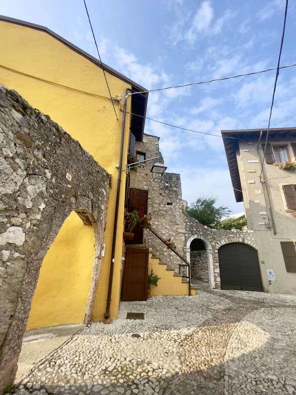 Venice Homes by Anat Ambar