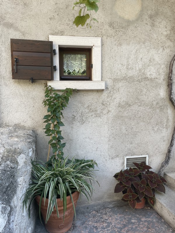 Window by Anat Ambar