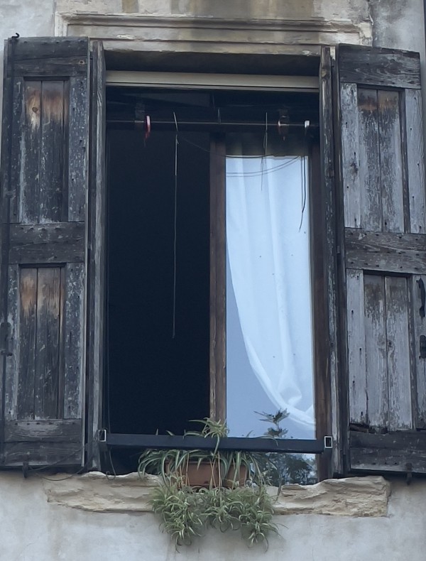 Open Window by Anat Ambar