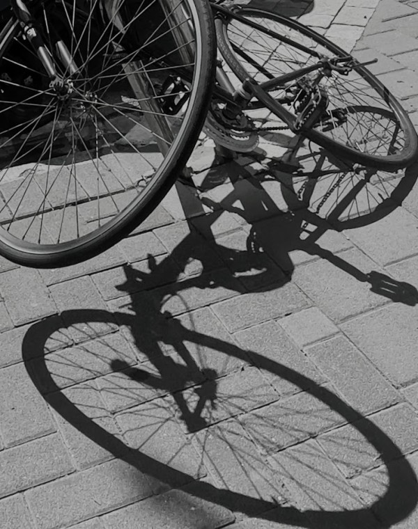 Bicycles by Anat Ambar