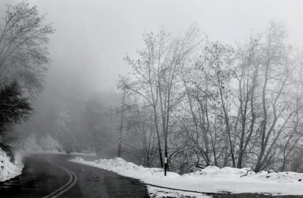 Winter Travel by Anat Ambar