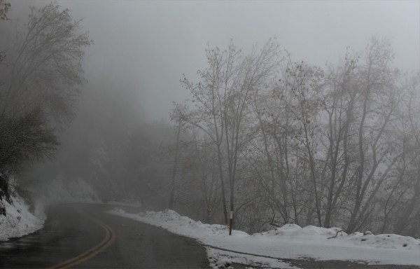 Foggy Day by Anat Ambar