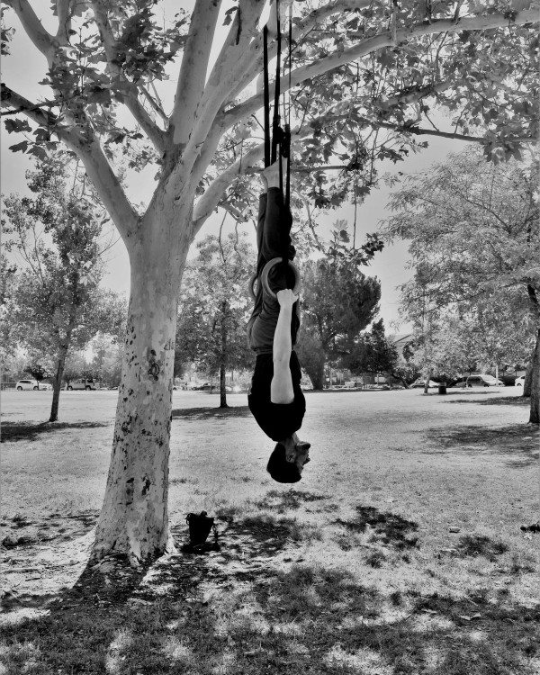 Rings Exercise by Anat Ambar