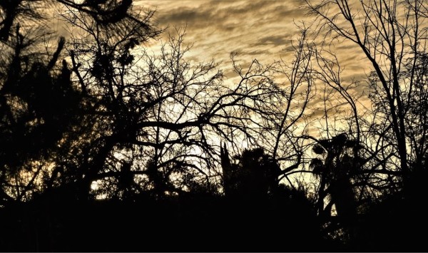 Sunset by Anat Ambar