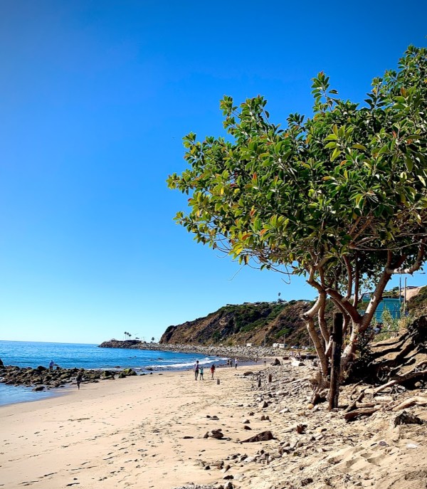 Malibu by Anat Ambar