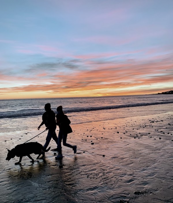 Dog Walking  sunset by Anat Ambar