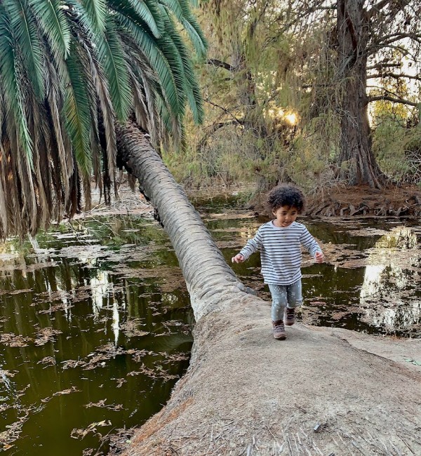 On The Tree Trunk by Anat Ambar