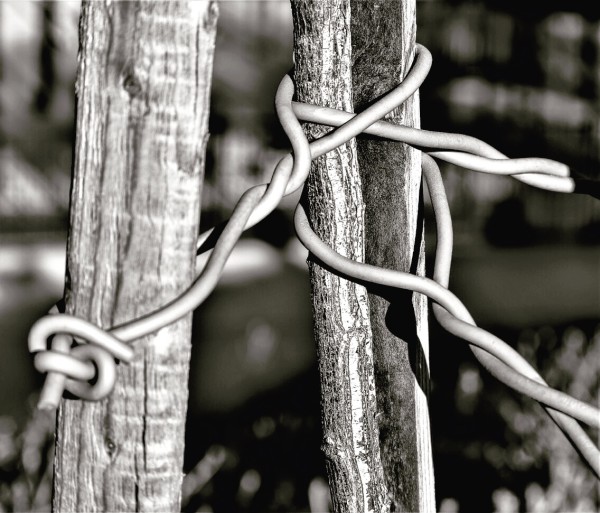 Wire Knots by Anat Ambar