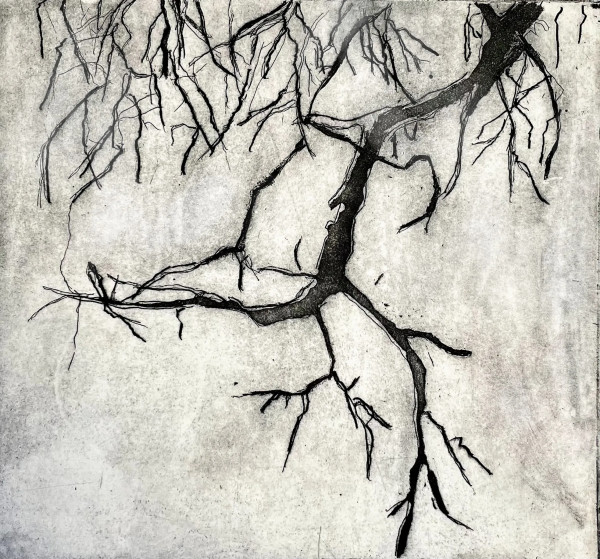 Bare Branches by Anat Ambar