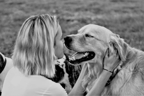 Happy dog by Anat Ambar